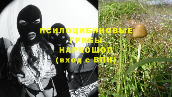 амф Алзамай
