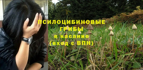 амф Алзамай